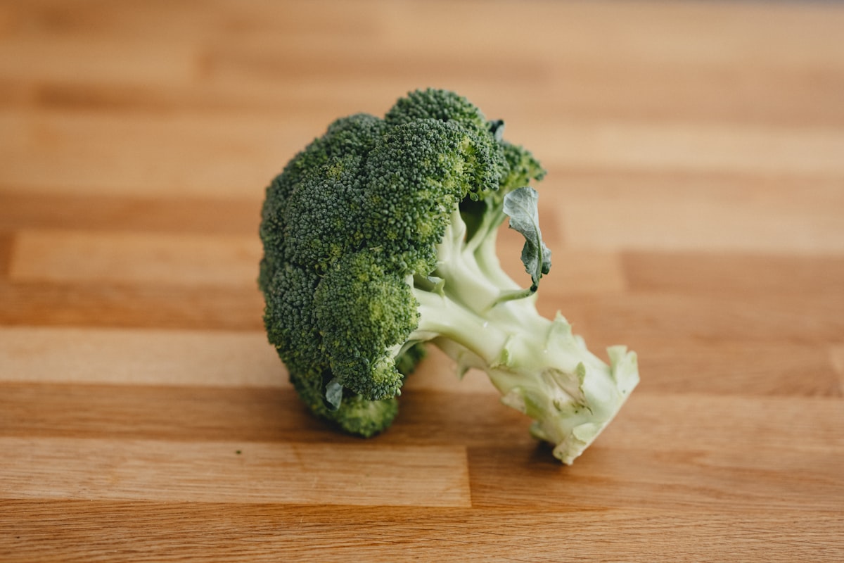 Nutrición en etapas especiales